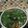 Cooksnap dari Vebbyola Sumantri untuk resep Sayur Bayam Bening