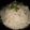  Chef Richa pathak. का कुकस्नैप जब उन्होंने जीरा चावल (jeera chawal recipe in Hindi) बनाया था।