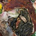 صورة من Om noor ، شاركها بعد تجربة وصفة طريقة عمل ورق عنب