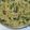 Noseh Harvey's cooksnap of when they made Mushroom Risotto.