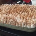 El cooksnap de Pilar cuando hizo Torta Tres Leches.