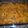 angief018's cooksnap of when they made Ranchero Beef Taco Bake.