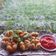 Cooksnap dari Mona Astria untuk resep Bakso Mekar Tanggal Tua