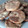 El cooksnap de Silvina Santarrosa cuando hizo Galletas de castaña y naranja (sin huevo y sin gluten).