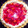 El cooksnap de lourdesgonzalez_9 cuando hizo Tarta de frutillas fácil y rápida.