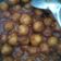 Cooksnap dari Azizatul Jamil untuk resep Cilok bumbu kacang