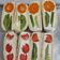 Cooksnap dari Angie Izzaty untuk resep Fruit sandwich