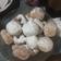 Cooksnap dari Panca Retnawati untuk resep 16. Donat Maizena