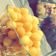 صورة من hayona، شاركها بعد تجربة وصفة لقيمات * قيمات * 🍯