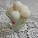 Vrutika Shah's cooksnap of when they made રસગુલ્લા (Rasgulla Recipe In Gujarati).