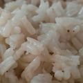 El cooksnap de Camel cuando hizo Arroz blanco en olla a presión.