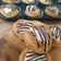 Cooksnap dari Lakota_Family untuk resep Cheese Tart Buncit