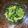 Cooksnap dari Bunda Yenni untuk resep Garlic Broccoli