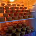 Cooksnap dari Resintaw untuk resep Agar agar Santan Gula Merah