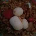 Cooksnap dari Bahulyn Ulyn untuk resep Nasi Goreng Keluarga