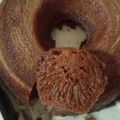 Cooksnap dari Neneng Junengsih untuk resep Bolu Caramel