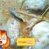 Cooksnap dari Ummu Hudzaifah untuk resep Gulai ayam pedaging