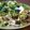 Mommyluvs2cook's cooksnap of when they made Ultimate Super Easy Chili Nachos.