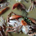 Cooksnap dari Diandra Doniarsa untuk resep Gulai kepiting