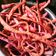 Cooksnap dari Indira Maharani Putri untuk resep 77. Dragon Fruit Stick / Stik Buah Naga (snack MPASI for 1y+*)