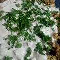 صورة من ريما الورد 🌹، شاركها بعد تجربة وصفة فتة شاورما