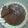 Anupa Prajapati's cooksnap of when they made કેરેમલ બ્રેડ પુડિંગ (Caramel Bread Pudding Recipe In Gujarati).