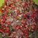Cooksnap dari Diah Wahyuningtyas untuk resep Sambal Matah Asli Resep Bali