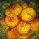 Cooksnap dari norma amin untuk resep Roti Goreng Isi Sayur