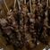 Cooksnap dari Bekti eko w untuk resep Sate ayam bumbu kacang mix kecap