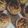 Cooksnap dari Wilanty Ernestyn untuk resep Banana muffin