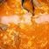 Cooksnap dari Yusrianti Syarief untuk resep Sayur Lodeh Nangka