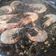 El cooksnap de David Pérez Lazo cuando hizo Arroz negro con calamares.