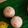 Mamta Shahu का कुकस्नैप जब उन्होंने तिल खोया के लड्डू (til khoya ki ladoo recipe in Hindi) बनाया था।