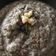 El cooksnap de AlexandraV cuando hizo Crema de coliflor con leche de coco # emplatado.