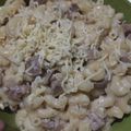 Cooksnap dari Frikha Anggita untuk resep Macaroni saus keju creamy