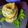 Sukla Sil's cooksnap of when they made স্যান্ডউইচ(sandwich recipe in Bengali).