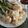 Cooksnap dari Cahaya Lintang untuk resep Cilok / pentol ayam