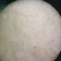 El cooksnap de Nadia Porciani cuando hizo Helado de limón digestivo 🍋 de agua, sin huevo, sin lácteos.