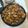 張小華 的 醬燒杏鮑菇雞丁 cooksnap