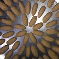 صورة من هنادي، شاركها بعد تجربة وصفة معكرون
