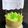 Cooksnap dari Rim’s Kitchen untuk resep Es Melon Jelly