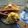 Cooksnap dari Putri(Dapur Ryuna)✅ untuk resep AMERICAN BREAKFAST