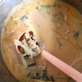 Cooksnap dari 𝚗𝚎𝚢 𝚜𝚊𝚗𝚝𝚒 𝚝𝚘𝚋𝚒𝚗𝚐 untuk resep Lodeh Labu Siam (buat lontong sayur)