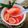 Cooksnap dari Arshiya Kitchen untuk resep *wedang semlo khas "Jogjakarta"*