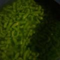 Cooksnap dari Nia Pratama untuk resep Cendol beras homemade