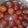 Neha Prajapati 's cooksnap of when they made गुलाब जामुन (gulab jamun recipe in Hindi).