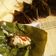 Cooksnap dari Leni Denyra untuk resep Pepes Jamur