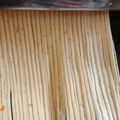 Cooksnap dari Esty Ridho Hakim untuk resep 368. Homemade Carrot Noodles (Eggless & Giling Manual)