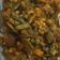 Vaishakhi Vyas's cooksnap of when they made કાઠિયાવાડી ઊંધિયું (Kathiyawadi Undhiyu Recipe In Gujarati).