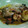 El cooksnap de Franco Law cuando hizo Arroz con pollo y langostinos.